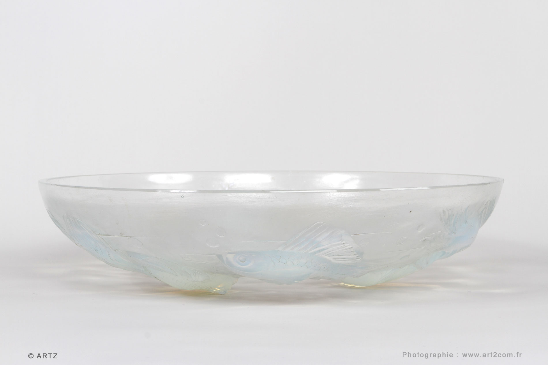 Coupe SABINO